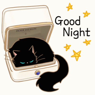 Boucheron Jewelry Box With Black Cat Inside GIF