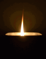 Bougie Thin Light GIF