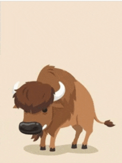 Bouncing Buffalo Bouncing Bison GIF