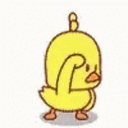 Bouncing Ducking Where  GIF