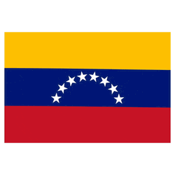 Bouncing Venezuela Flag