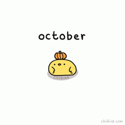 Bouncy Pumpkin On Top Of Bird GIF