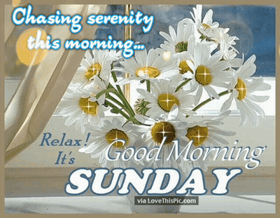 Bouquet Of Daisies Chasing Serenity This Morning Relax Good Morning It's Sunday GIF