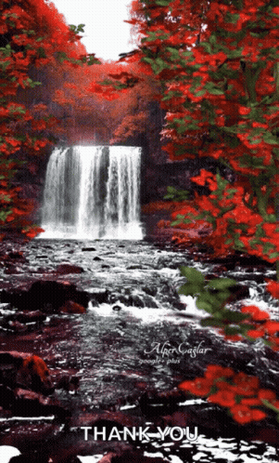 Bouquet Of Flowers Entrega Especial Pra Voce Feliz Domingo GIF