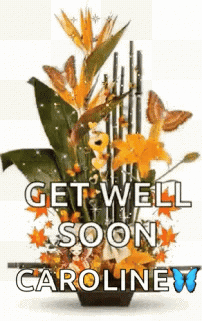 Bouquet Of Flowers Get Well Soon Caroline GIF