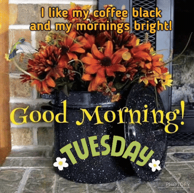 Bouquet Of Flowers In Black Bucket Saying Good Morning Tuesday GIF