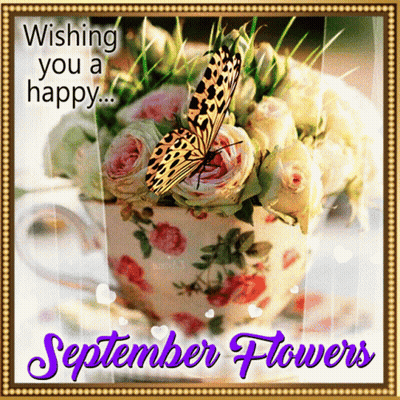 Bouquet Of Flowers In Teacup Wishing You A Happy September GIF