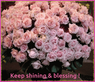 Bouquet Of Pink Roses Keep Shining And Blessing GIF