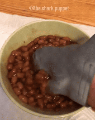 Bowl Of Baked Beans With Shark Puppet GIF