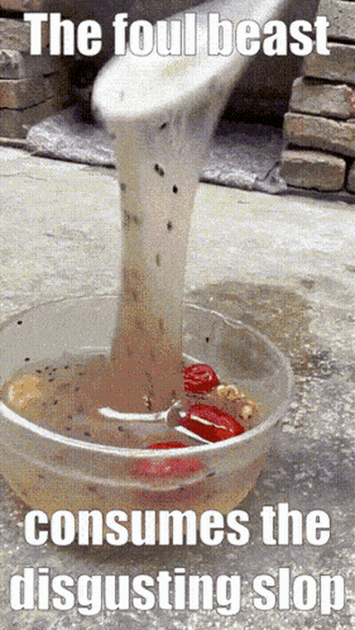 Bowl Of Food Saying The Foul Beast Consumes The Disgusting Sloppy GIF