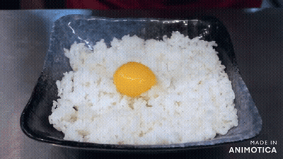 Bowl Of Rice With Egg Made In Animotica GIF