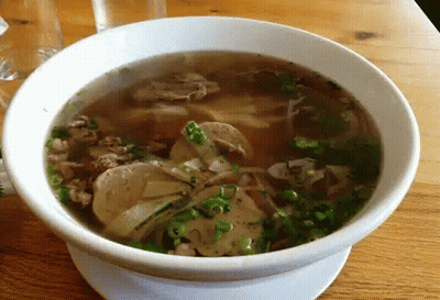 Bowl Of Soup With Meat And Green Onions GIF