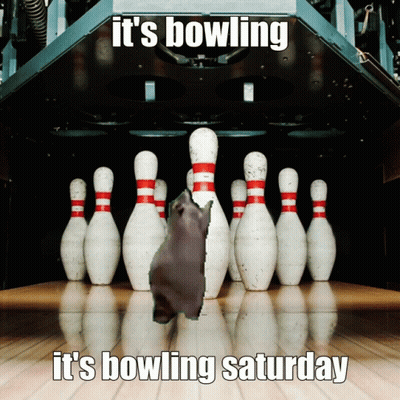 Bowling Alley It's Bowling It's Bowling Saturday GIF