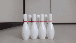 Bowling Cat Playing Pins