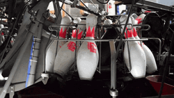 Bowling Pin Arrangement GIF