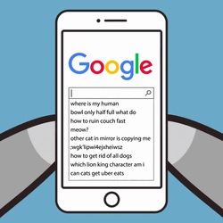 Bowling Search Engine Google Meme GIF