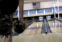 Bowling Wrong Alley Strike