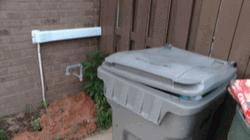 Bowser Throwing Garbage GIF