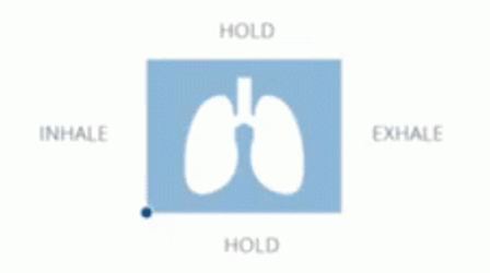 Box Breathing Lung Guide GIF