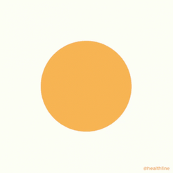 Box Breathing Pink Orange Circle Guide GIF