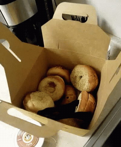 Box Of Bagels Next To K Cup GIF