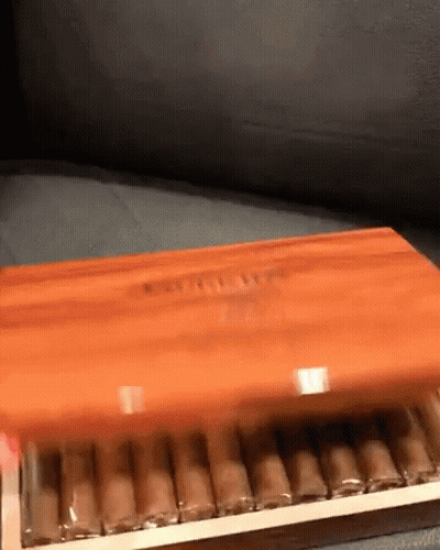 Box Of Cigars On Couch Blurred GIF