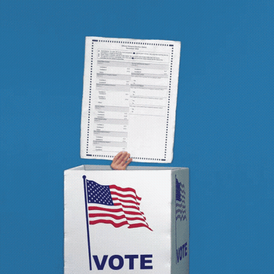 Box Saying Vote With American Flag GIF