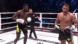 Boxer Fatality After Punching GIF