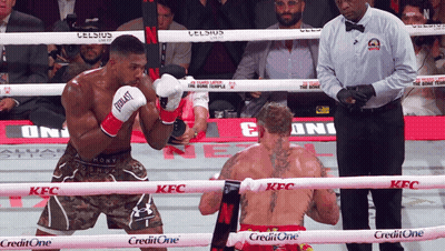 Boxer In Everlast Gloves Fighting In Ring GIF