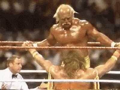 Boxer Standing Arms Outstretched GIF