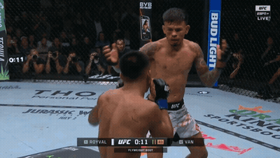 Boxers Fighting In Ring With Bud Light Banner GIF