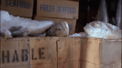 Boxes Of Fresh Seafood Stacked GIF
