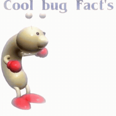 Boxing Bug Saying Cool Bug Facts One Day You Will Have To Answer For Your Actions GIF
