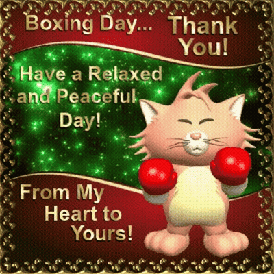 Boxing Day Cat With Red Boxing Gloves GIF