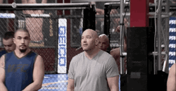 Boxing Fighter Coin Flip GIF