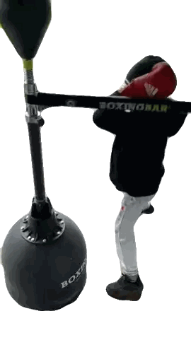 Boxing Glove Person Next To Punching Ball Sticker