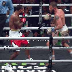 Boxing Knockout Caleb Plant GIF