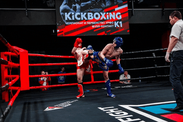 Boxing Knockout Flying Kick GIF