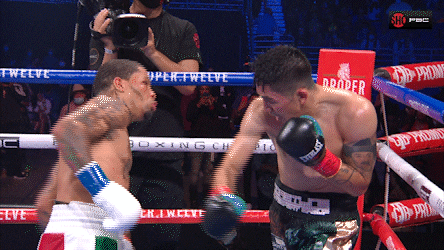 Boxing Knockout Hard Punch GIF