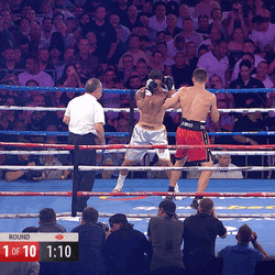 Boxing Knockout Inside Ring GIF
