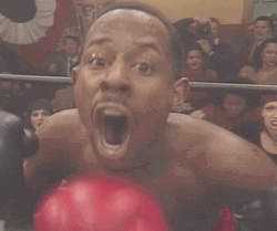 Boxing Knockout Martin Payne GIF