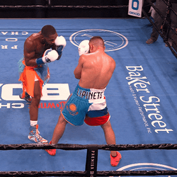 Boxing Knockout Ngannou Ko GIF