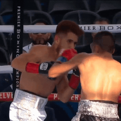 Boxing Knockout Premium Champions GIF