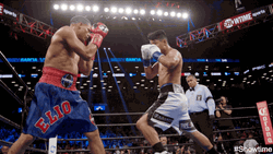 Boxing Knockout Punching GIF