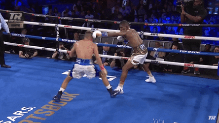 Boxing Knockout Ramirez Triumphs GIF