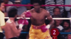Boxing Knockout Roberto Duran GIF