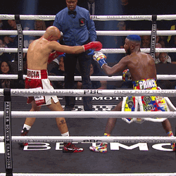 Boxing Knockout Very Intense Scene GIF