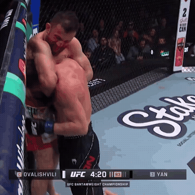 Boxing Match Between Dvalishvili And Yan GIF