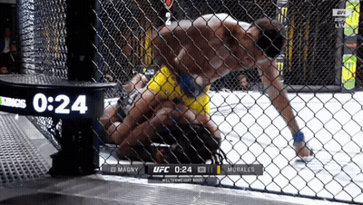 Boxing Match Between Magny And Morales GIF