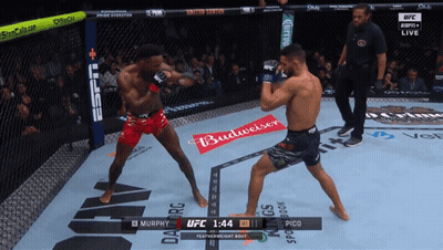 Boxing Match Between Murphy And Pico With Budweiser Ad GIF